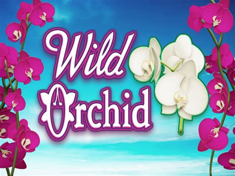 wild orchid slot machine|free black orchid casino games.